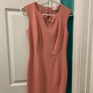 A rose nude dress